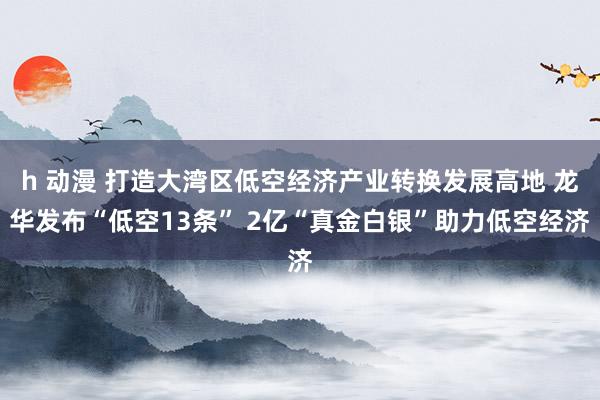 h 动漫 打造大湾区低空经济产业转换发展高地 龙华发布“低空13条” 2亿“真金白银”助力低空经济