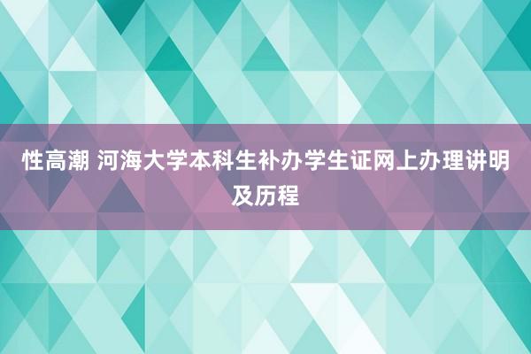 性高潮 河海大学本科生补办学生证网上办理讲明及历程