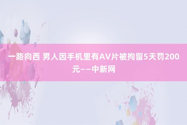 一路向西 男人因手机里有AV片被拘留5天罚200元——中新网