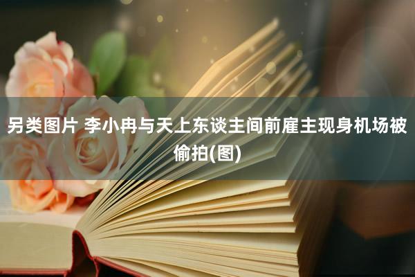 另类图片 李小冉与天上东谈主间前雇主现身机场被偷拍(图)