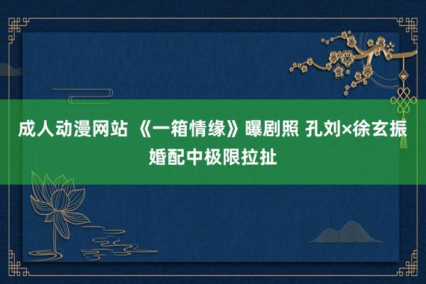 成人动漫网站 《一箱情缘》曝剧照 孔刘×徐玄振婚配中极限拉扯