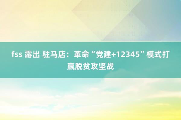 fss 露出 驻马店：革命“党建+12345”模式打赢脱贫攻坚战