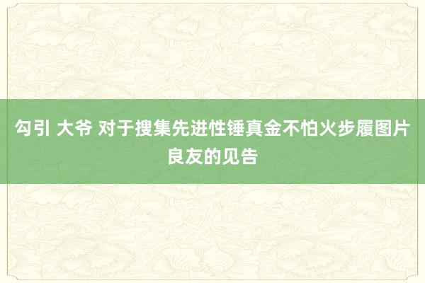 勾引 大爷 对于搜集先进性锤真金不怕火步履图片良友的见告